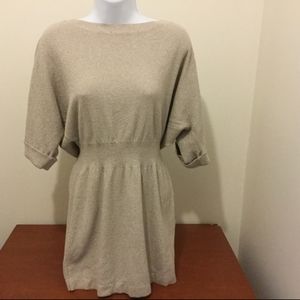 Sweater Dress | Express | Medium